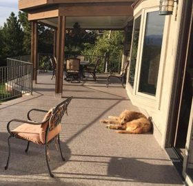 Duradek decking is cool on paws and pet friendly